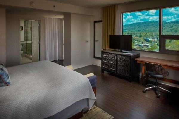 Hotel Indigo Asheville Downtown image 13